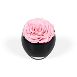 Infinite Rose Festive Tree