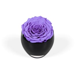 Infinite Rose Festive Tree