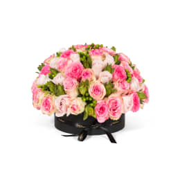 Classic Rose Boulevard