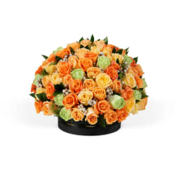 Classic Rose Boulevard