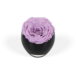 Infinite Rose Festive Wreath