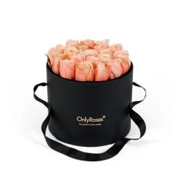 Classic Rose Waldorf