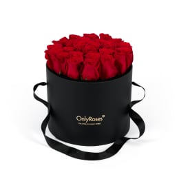 Classic Rose Waldorf