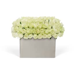 Classic Rose Modernist