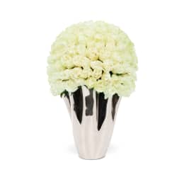 Classic Rose Lady Jane