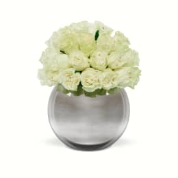 Classic Rose Silver Palacio