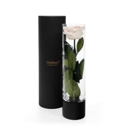 Infinite Rose Ebony Mother's Day