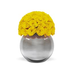 Infinite Rose Silver Palacio