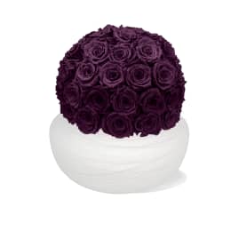 Infinite Rose Savannah