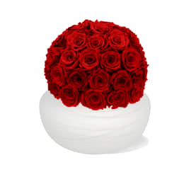 Infinite Rose Savannah