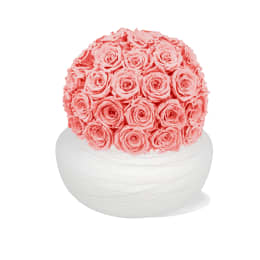 Infinite Rose Savannah