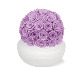 Infinite Rose Savannah