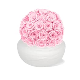 Infinite Rose Savannah