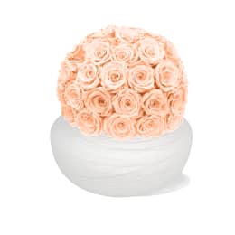 Infinite Rose Savannah