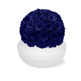 Infinite Rose Savannah