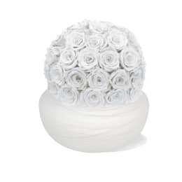 Infinite Rose Savannah