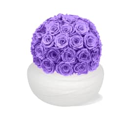 Infinite Rose Savannah