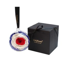 Infinite Rose Jubilee Pendent