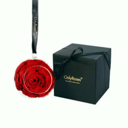 Infinite Rose Pendent