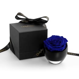 The Infinite Rose®
