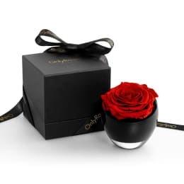 The Valentine's Infinite Rose®