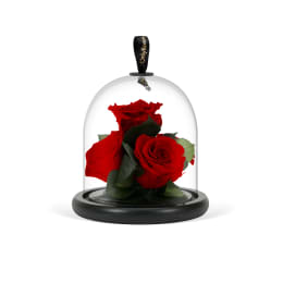 Valentine's Day Infinite Statement Rose - London Delivery | OnlyRoses