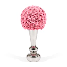 Infinite Rose Aurora