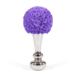 Infinite Rose Aurora