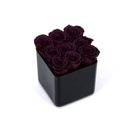 Infinite Rose Black Cube