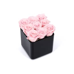 Infinite Rose Black Cube