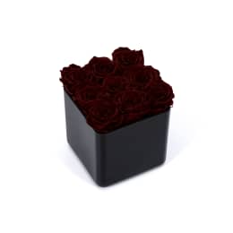 Infinite Rose Black Cube