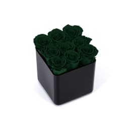 Infinite Rose Black Cube