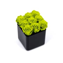 Infinite Rose Black Cube