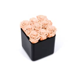 Infinite Rose Black Cube