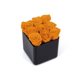 Infinite Rose Black Cube
