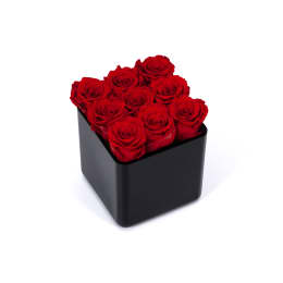 Infinite Rose Black Cube
