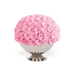 Infinite Rose Champagne Bowl