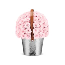 Infinite Rose Fleurs Du Vin