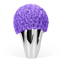 Infinite Rose Lady Jane