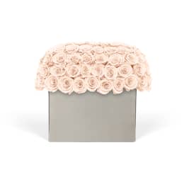 Infinite Rose Modernist