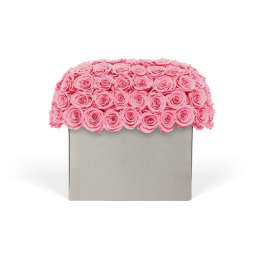 Infinite Rose Modernist