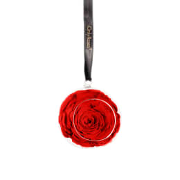 Infinite Rose Pendent