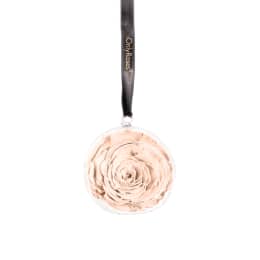 Infinite Rose Pendent