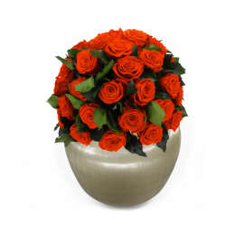 Infinite Rose Sienna