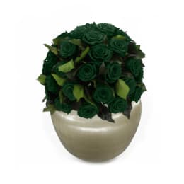 Infinite Rose Sienna