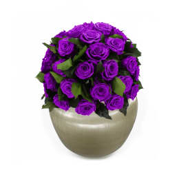 Infinite Rose Sienna