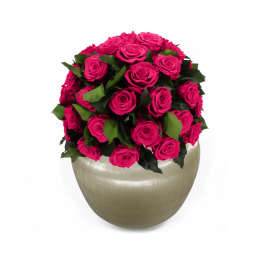 Infinite Rose Sienna