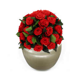 Infinite Rose Sienna