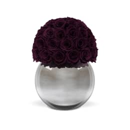 Infinite Rose Silver Palacio