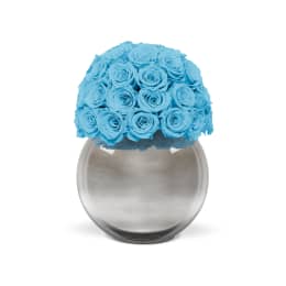 Infinite Rose Silver Palacio